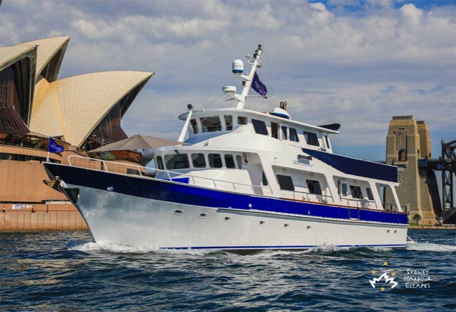 Ariston 1 Boat Charter Sydney Harbour Escapes  copy 4